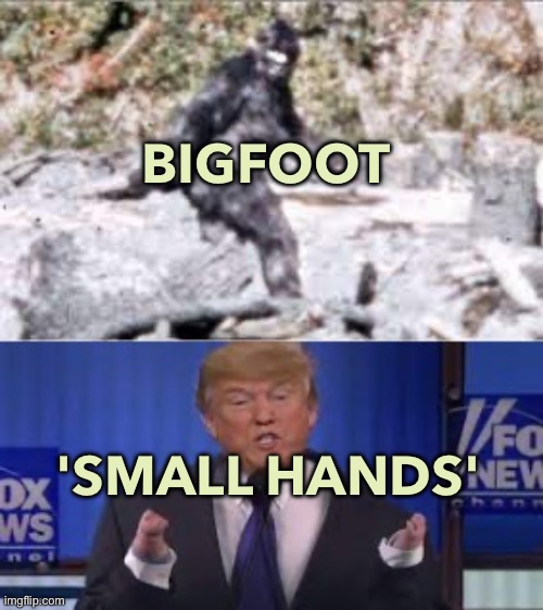 BIGFOOT; 'SMALL HANDS' | BIGFOOT; 'SMALL HANDS' | image tagged in big foot | made w/ Imgflip meme maker