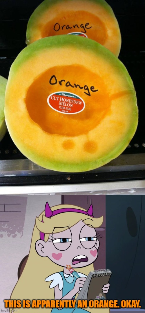 Apparently this is an orange | THIS IS APPARENTLY AN ORANGE. OKAY. | image tagged in star butterfly listing,you had one job,star vs the forces of evil,memes | made w/ Imgflip meme maker