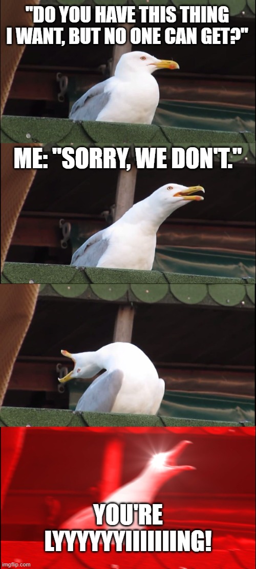 Anyone work in retail? What is it at your store? | "DO YOU HAVE THIS THING I WANT, BUT NO ONE CAN GET?"; ME: "SORRY, WE DON'T."; YOU'RE
LYYYYYYIIIIIIING! | image tagged in memes,inhaling seagull | made w/ Imgflip meme maker