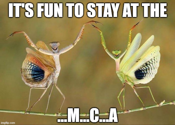 Now the song is in your head | IT'S FUN TO STAY AT THE; ...M...C...A | image tagged in ymca,village people,praying mantis | made w/ Imgflip meme maker
