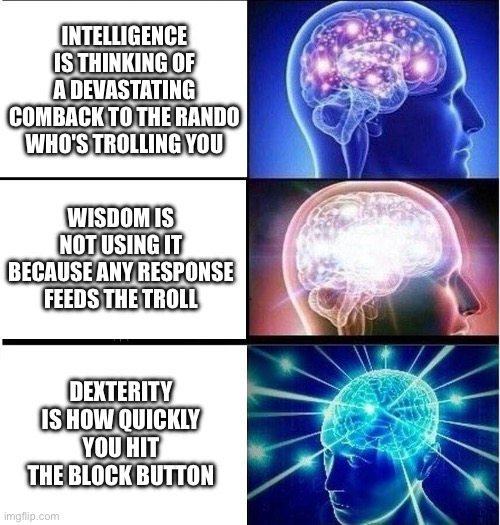 INT-WIS-DEX | INTELLIGENCE IS THINKING OF A DEVASTATING COMBACK TO THE RANDO WHO'S TROLLING YOU; WISDOM IS NOT USING IT BECAUSE ANY RESPONSE FEEDS THE TROLL; DEXTERITY IS HOW QUICKLY YOU HIT THE BLOCK BUTTON | image tagged in expanding brain 3 panels | made w/ Imgflip meme maker