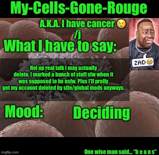 My-Cells-Gone-Rouge announcement | Hol up real talk I may actually delete. I marked a bunch of stuff sfw when it was supposed to be nsfw. Plus I’ll prolly get my account deleted by site/global mods anyways. Deciding | image tagged in my-cells-gone-rouge announcement | made w/ Imgflip meme maker
