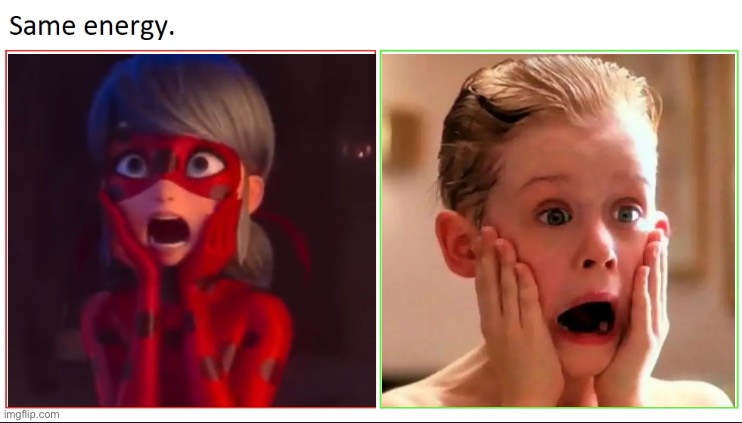 Screaming at The Mirror | image tagged in same energy,miraculous ladybug,ladybug,home alone,screaming | made w/ Imgflip meme maker