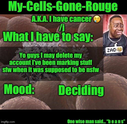 My-Cells-Gone-Rouge announcement | Yo guys I may delete my account I’ve been marking stuff sfw when it was supposed to be nsfw; Deciding | image tagged in my-cells-gone-rouge announcement | made w/ Imgflip meme maker