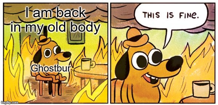This Is Fine Meme | I am back in my old body; Ghostbur | image tagged in memes,this is fine | made w/ Imgflip meme maker