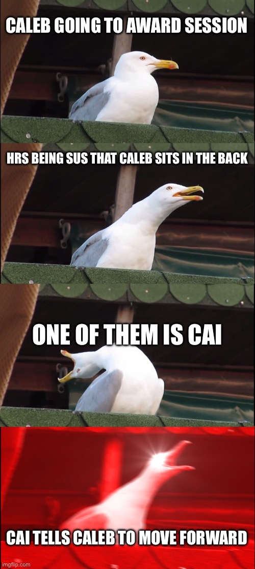 Vinay’s kingdom awards | CALEB GOING TO AWARD SESSION; HRS BEING SUS THAT CALEB SITS IN THE BACK; ONE OF THEM IS CAI; CAI TELLS CALEB TO MOVE FORWARD | image tagged in memes,inhaling seagull | made w/ Imgflip meme maker