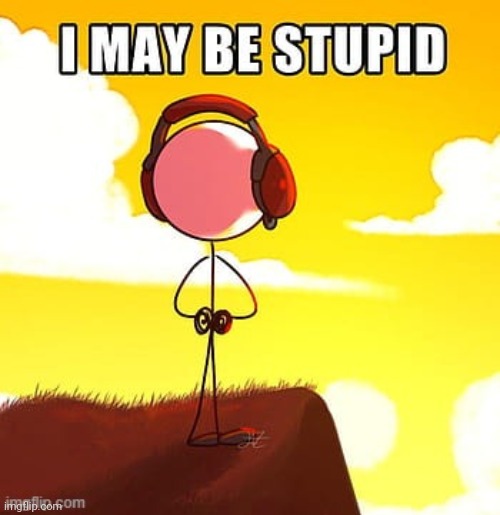 I may be stupid | image tagged in i may be stupid | made w/ Imgflip meme maker