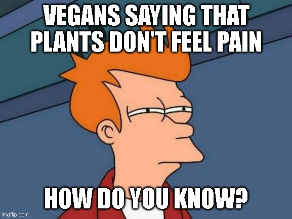 Futurama Fry | VEGANS SAYING THAT PLANTS DON'T FEEL PAIN; HOW DO YOU KNOW? | image tagged in memes,futurama fry | made w/ Imgflip meme maker