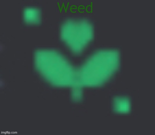 weed | image tagged in weed | made w/ Imgflip meme maker