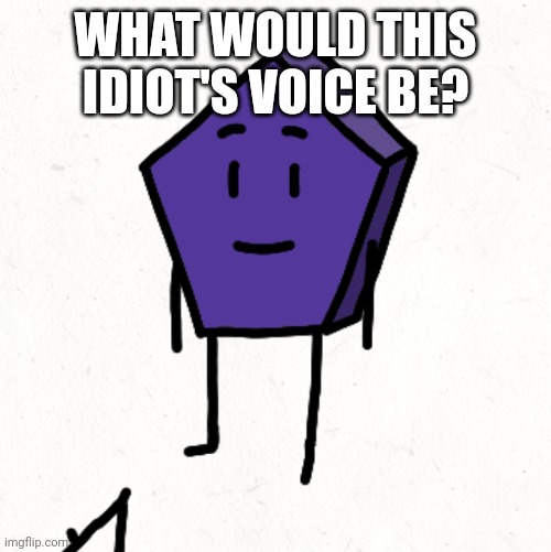 WHAT WOULD THIS IDIOT'S VOICE BE? | made w/ Imgflip meme maker