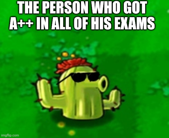 Cool cactus | THE PERSON WHO GOT A++ IN ALL OF HIS EXAMS | image tagged in cool cactus | made w/ Imgflip meme maker