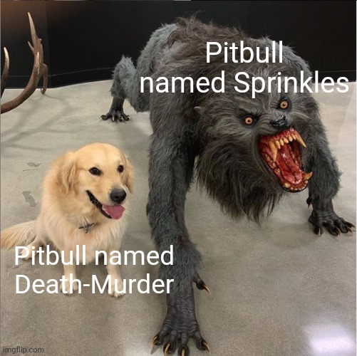 True | Pitbull named Sprinkles; Pitbull named Death-Murder | image tagged in pitbulls | made w/ Imgflip meme maker