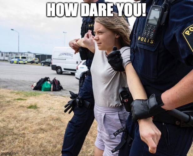 How Dare You! | HOW DARE YOU! | image tagged in greta thunberg how dare you | made w/ Imgflip meme maker