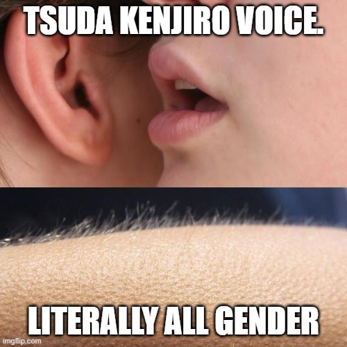 tsuda kenjiro voice | TSUDA KENJIRO VOICE. LITERALLY ALL GENDER | image tagged in whisper and goosebumps | made w/ Imgflip meme maker