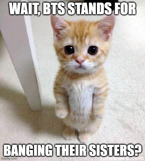 BRO THAT IS CRAZY HOW DIDN'T I KNOW?! | WAIT, BTS STANDS FOR; BANGING THEIR SISTERS? | image tagged in memes,cute cat | made w/ Imgflip meme maker