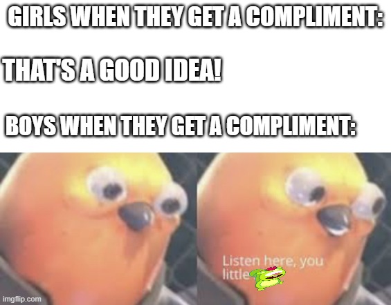 boys vs girls be like | GIRLS WHEN THEY GET A COMPLIMENT:; THAT'S A GOOD IDEA! BOYS WHEN THEY GET A COMPLIMENT: | image tagged in listen here you little shit bird,boys vs girls | made w/ Imgflip meme maker