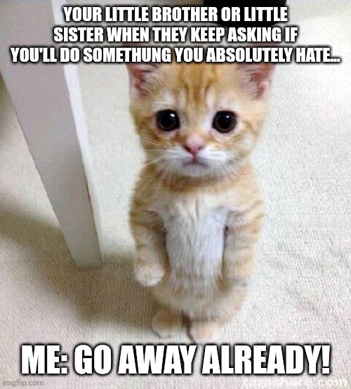 Little siblings... -_- | YOUR LITTLE BROTHER OR LITTLE SISTER WHEN THEY KEEP ASKING IF YOU'LL DO SOMETHUNG YOU ABSOLUTELY HATE... ME: GO AWAY ALREADY! | image tagged in memes,cute cat | made w/ Imgflip meme maker