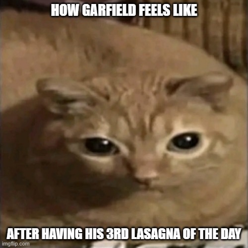 Fat Cat | HOW GARFIELD FEELS LIKE; AFTER HAVING HIS 3RD LASAGNA OF THE DAY | image tagged in fat cat | made w/ Imgflip meme maker