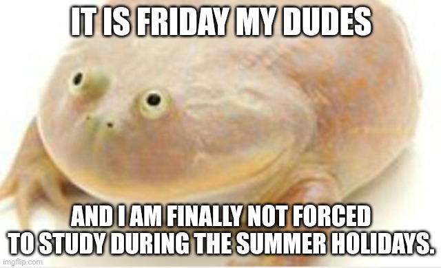 It's Wednesday my dudes | IT IS FRIDAY MY DUDES; AND I AM FINALLY NOT FORCED TO STUDY DURING THE SUMMER HOLIDAYS. | image tagged in it's wednesday my dudes | made w/ Imgflip meme maker