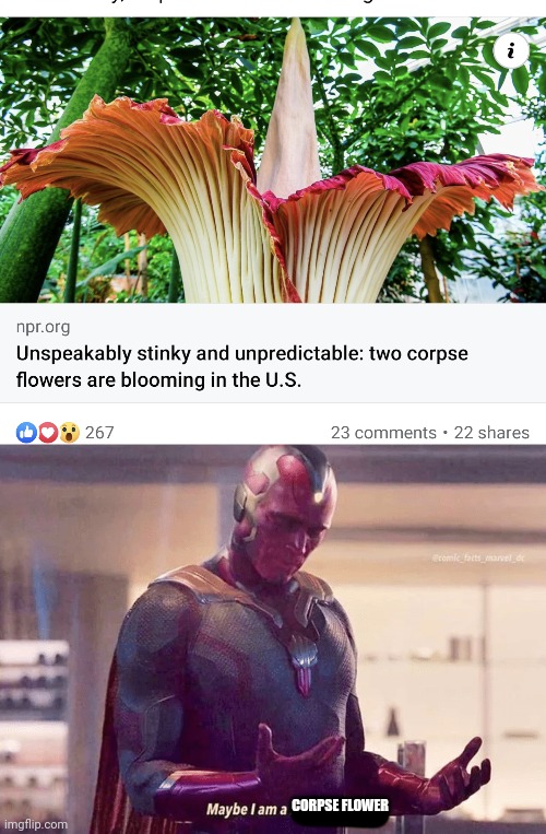 CORPSE FLOWER | image tagged in maybe i am a monster blank,flowers | made w/ Imgflip meme maker