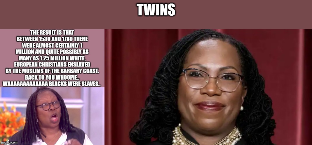 ITs Amazing.. right.. | TWINS | image tagged in democrats,nwo,racist,liars | made w/ Imgflip meme maker