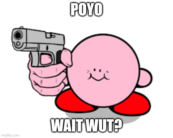 Poyo? | POYO; WAIT WUT? | image tagged in kirby with a gun | made w/ Imgflip meme maker