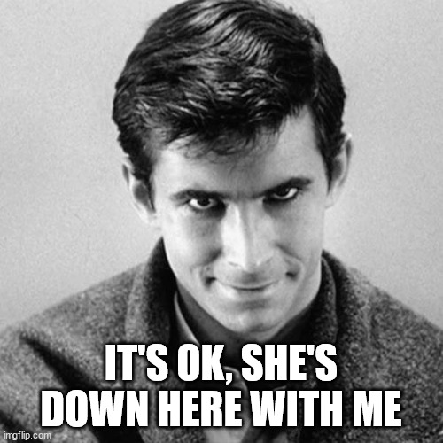 Norman Bates | IT'S OK, SHE'S DOWN HERE WITH ME | image tagged in norman bates | made w/ Imgflip meme maker