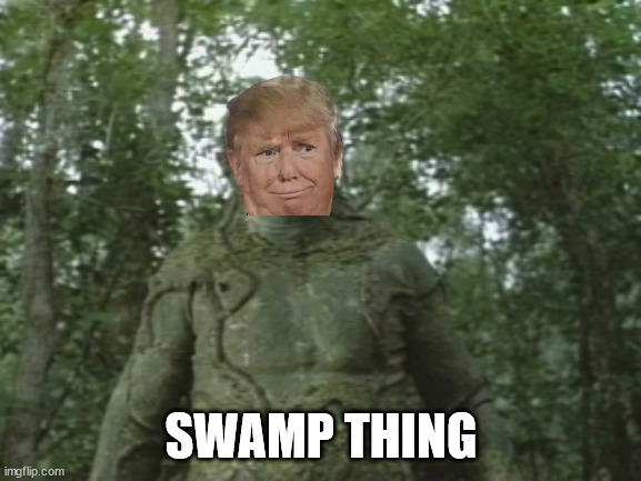 Drain the swamp. | SWAMP THING | image tagged in swamp thing,slimeball trump | made w/ Imgflip meme maker