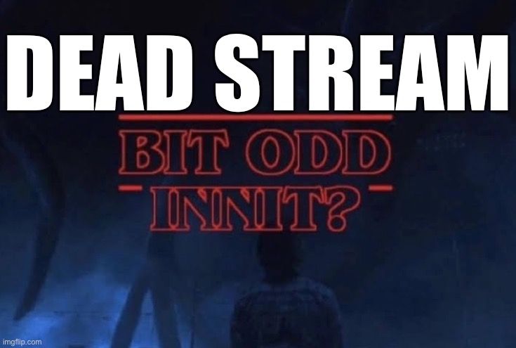 Bit odd innit | DEAD STREAM | image tagged in bit odd innit | made w/ Imgflip meme maker