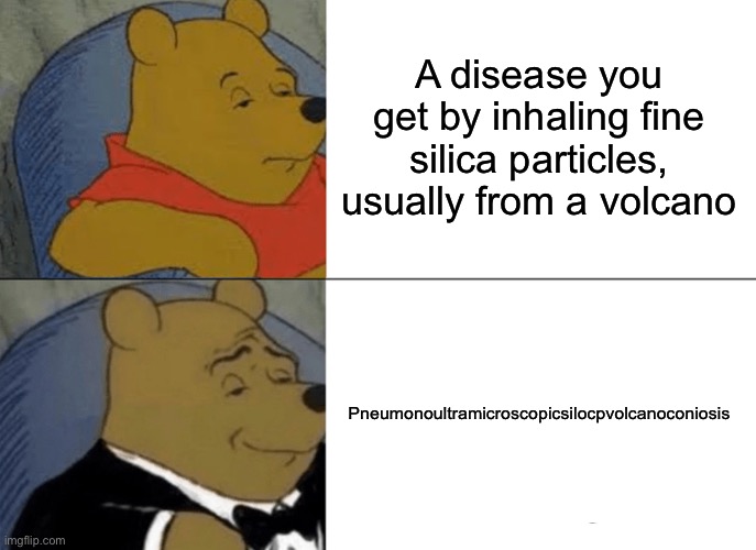Tuxedo Winnie The Pooh | A disease you get by inhaling fine silica particles, usually from a volcano; Pneumonoultramicroscopicsilocpvolcanoconiosis | image tagged in memes,tuxedo winnie the pooh | made w/ Imgflip meme maker