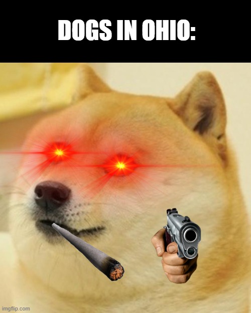 This what dogs look like in ohio. | DOGS IN OHIO: | image tagged in memes,doge | made w/ Imgflip meme maker