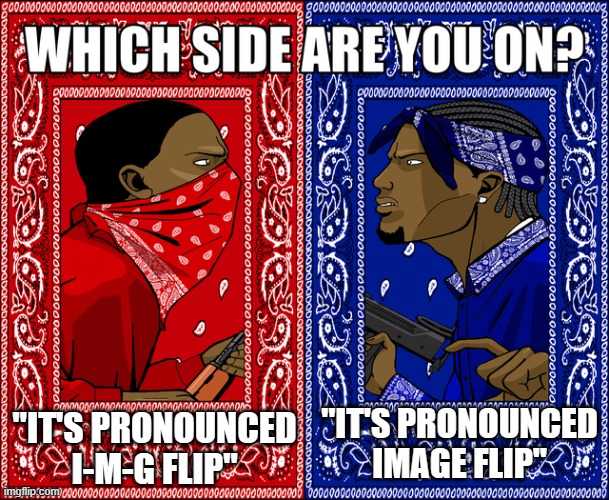 How do YOU pronounce it? | "IT'S PRONOUNCED I-M-G FLIP"; "IT'S PRONOUNCED IMAGE FLIP" | image tagged in which side are you on,pronunciation | made w/ Imgflip meme maker