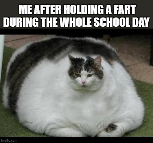 true story | ME AFTER HOLDING A FART DURING THE WHOLE SCHOOL DAY | image tagged in fat cat 2 | made w/ Imgflip meme maker