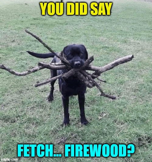 Fetch... | YOU DID SAY; FETCH... FIREWOOD? | image tagged in fetch,eye roll | made w/ Imgflip meme maker