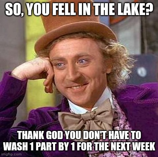 Idk how to name this meme | SO, YOU FELL IN THE LAKE? THANK GOD YOU DON'T HAVE TO WASH 1 PART BY 1 FOR THE NEXT WEEK | image tagged in memes,creepy condescending wonka,lake | made w/ Imgflip meme maker