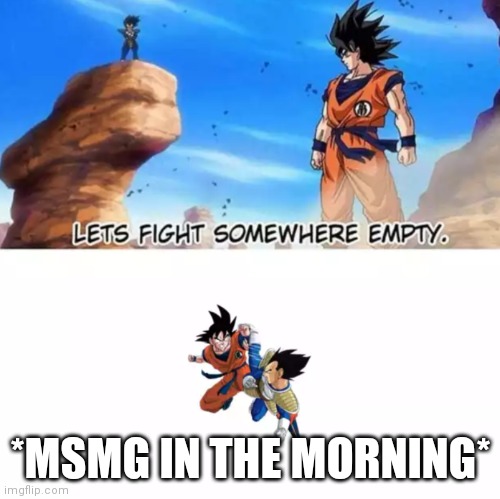 Let's fight somewhere empty. | *MSMG IN THE MORNING* | image tagged in let's fight somewhere empty,imgflip,imgflip users,msmg,meanwhile on imgflip | made w/ Imgflip meme maker