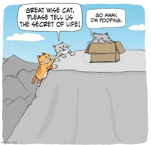 The Great Wise Cat | image tagged in comics | made w/ Imgflip meme maker