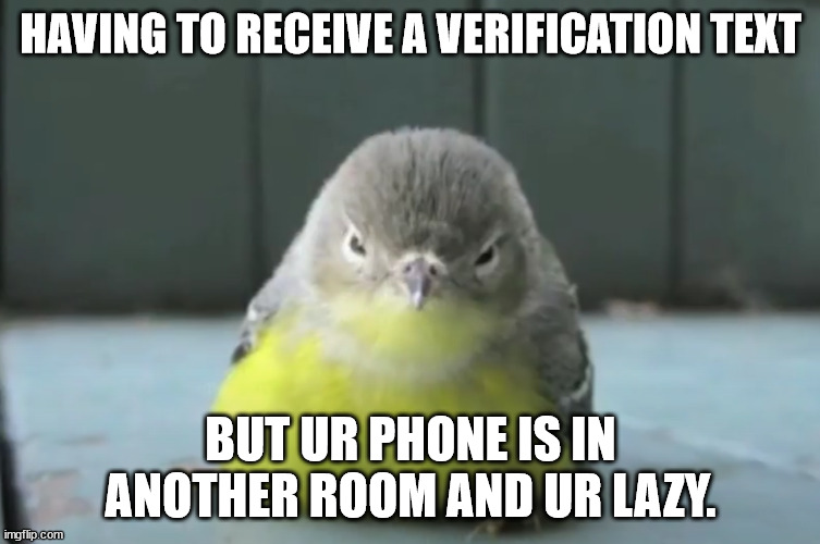 Lazy Chonk Bird | HAVING TO RECEIVE A VERIFICATION TEXT; BUT UR PHONE IS IN ANOTHER ROOM AND UR LAZY. | image tagged in chonky bird | made w/ Imgflip meme maker