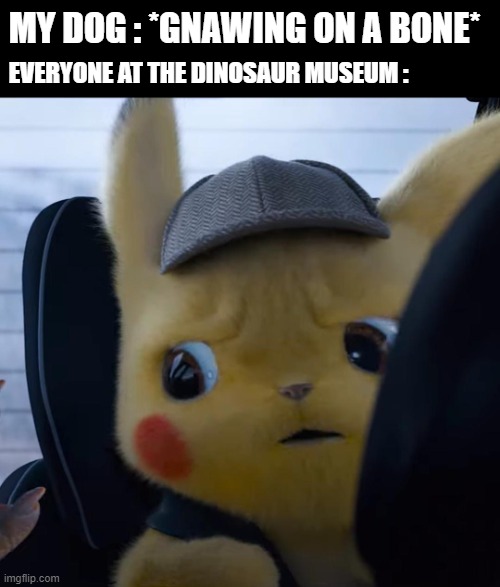 wait a minute... | MY DOG : *GNAWING ON A BONE*; EVERYONE AT THE DINOSAUR MUSEUM : | image tagged in unsettled detective pikachu | made w/ Imgflip meme maker