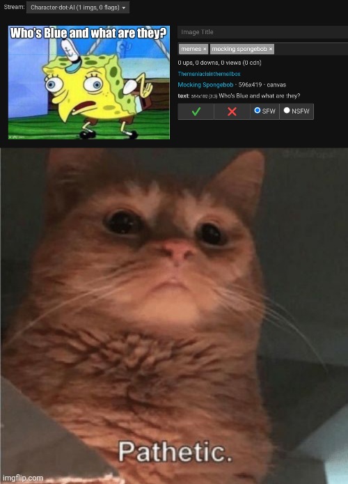 Bro thinks I'm gonna approve an unrelated post LMAOOOO | image tagged in pathetic cat | made w/ Imgflip meme maker