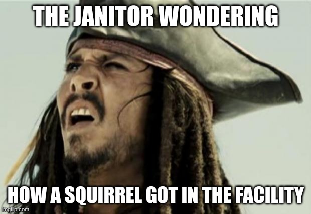 confused dafuq jack sparrow what | THE JANITOR WONDERING HOW A SQUIRREL GOT IN THE FACILITY | image tagged in confused dafuq jack sparrow what | made w/ Imgflip meme maker