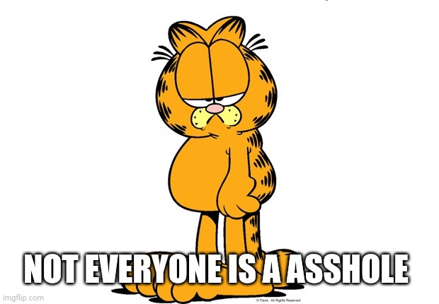 Grumpy Garfield | NOT EVERYONE IS A ASSHOLE | image tagged in grumpy garfield | made w/ Imgflip meme maker