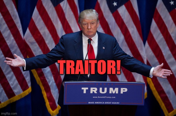 Donald Trump | TRAITOR! | image tagged in donald trump | made w/ Imgflip meme maker