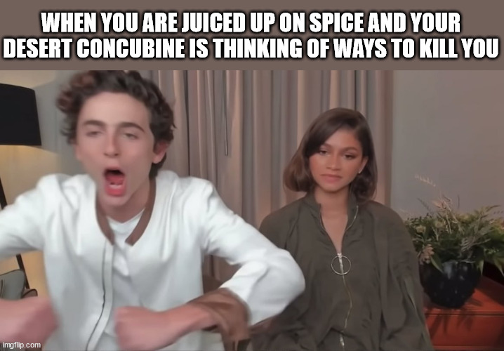 Two sides of a Spice Trip | WHEN YOU ARE JUICED UP ON SPICE AND YOUR DESERT CONCUBINE IS THINKING OF WAYS TO KILL YOU | image tagged in dune | made w/ Imgflip meme maker
