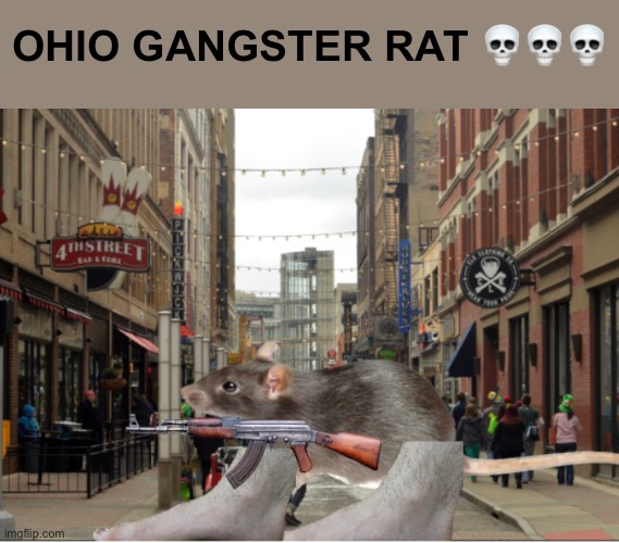 Bro what :skull: | OHIO GANGSTER RAT 💀💀💀 | image tagged in only in ohio,skull,memes,idk | made w/ Imgflip meme maker