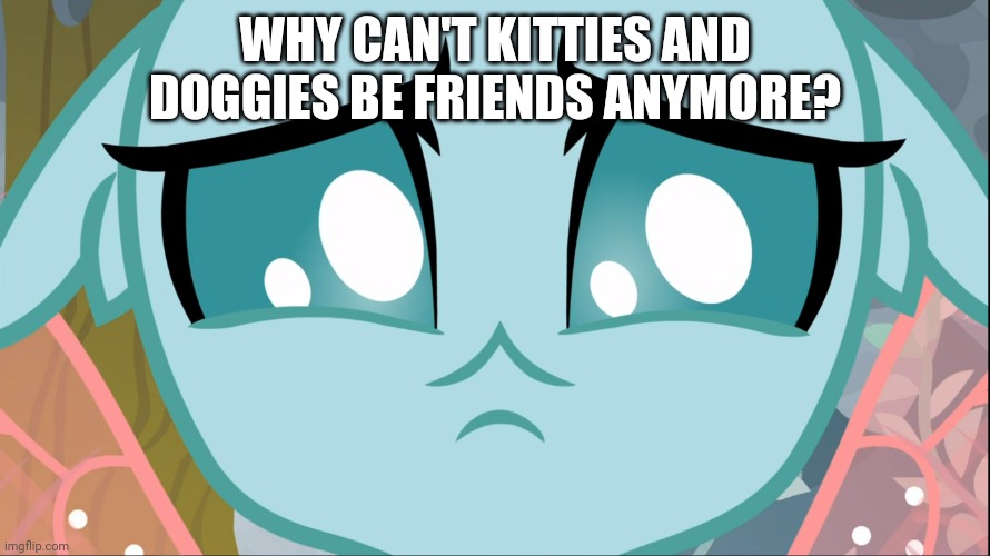 Sad Ocellus (MLP) | WHY CAN'T KITTIES AND DOGGIES BE FRIENDS ANYMORE? | image tagged in sad ocellus mlp | made w/ Imgflip meme maker