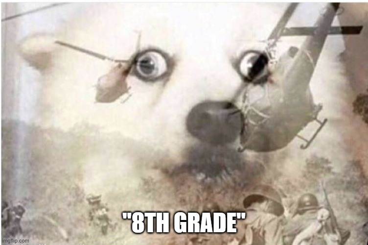 vietnam dog | "8TH GRADE" | image tagged in vietnam dog | made w/ Imgflip meme maker