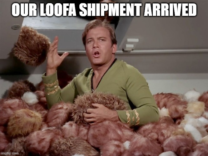 Not Tribbles Jim | OUR LOOFA SHIPMENT ARRIVED | image tagged in star trek kirk tribbles | made w/ Imgflip meme maker