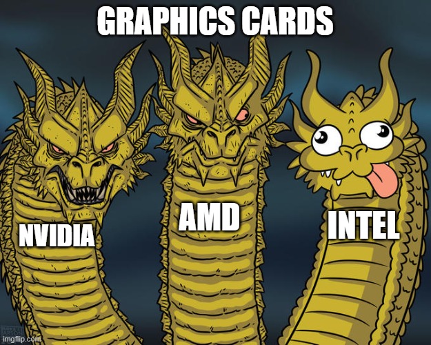 I have and hate intel, it lacks so much support rn. | GRAPHICS CARDS; AMD; INTEL; NVIDIA | image tagged in three-headed dragon | made w/ Imgflip meme maker