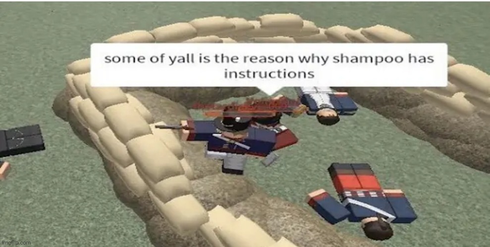 Meme #2,380 | image tagged in memes,repost,roblox,funny,roasts,shampoo | made w/ Imgflip meme maker
